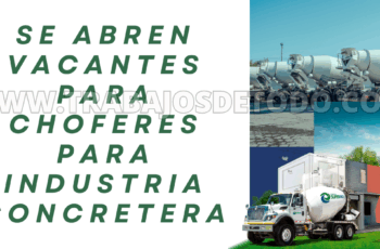 Buscan choferes reponsables y con licencia