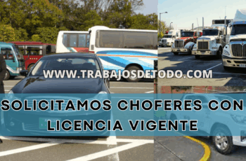 Se están buscando chóferes puntuales