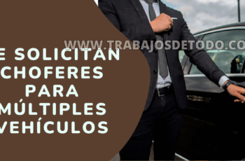 Se están solicitando chóferes múltiples