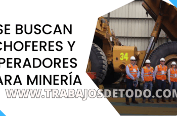 Buscan choferes y operadores para rubro minería