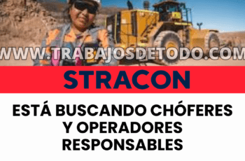Se buscan choferes operadores con disponibilidad y responsables