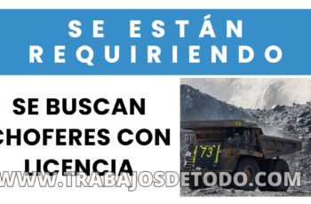 Se solicitan operadores y choferes con disponibilidad y licencia