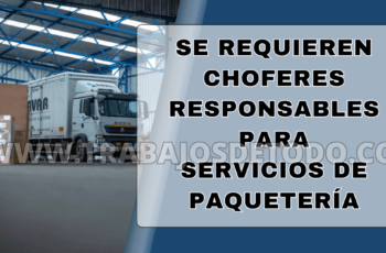 Busco choferes con cualquier licencia