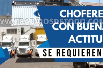 Se está en la búsqueda de choferes responsables para rubro logístico